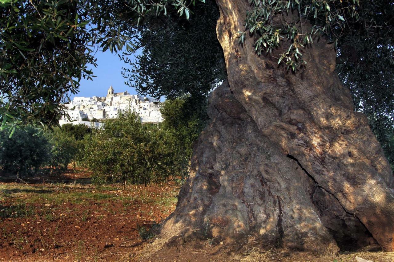 B&B La Stradella Ostuni Extérieur photo